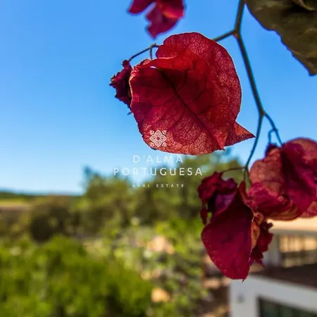 D'alma Falesia - By Dalma Portuguesa Apartment *